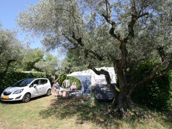 Parcela Confort 100m²