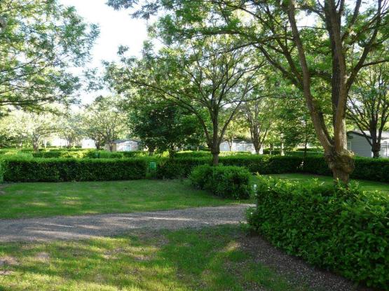 Parcela Nature (tienda, caravana, autocaravana / 1 coche)