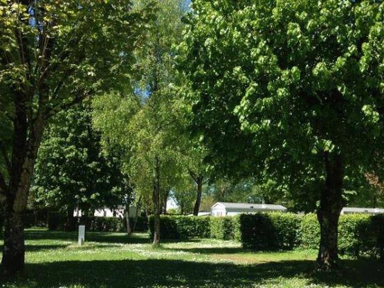 Parcela Naturaleza : coche + tienda