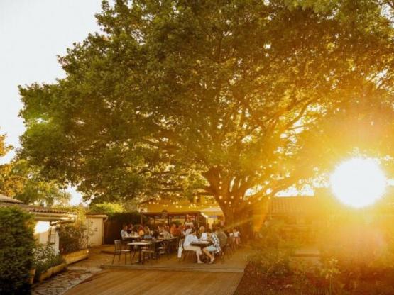 Mobilhome Eco Nature - 25m²  2 habitacion - terraza -