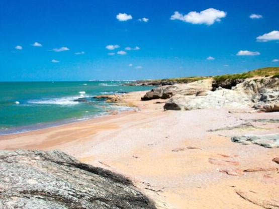 Mobilhome Privilège Noirmoutier - 3 Habitaciones