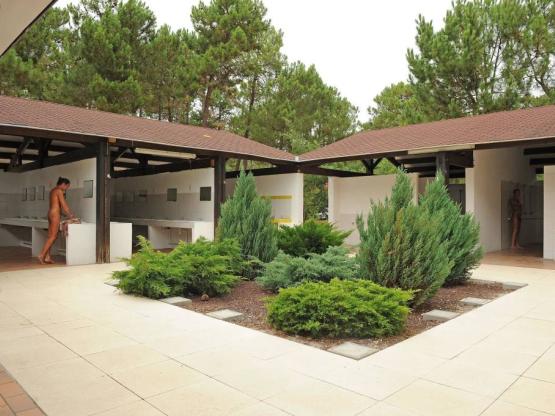 SAFARI : Parcela Tienda + electricidad