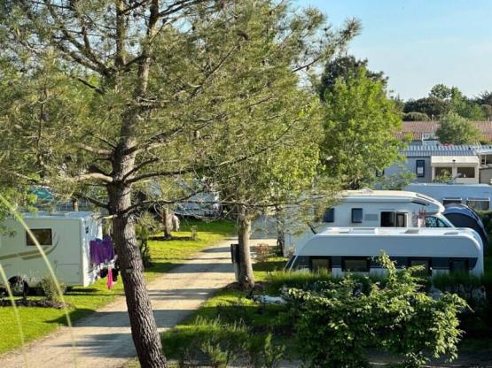 Parcela + coche (por noche)