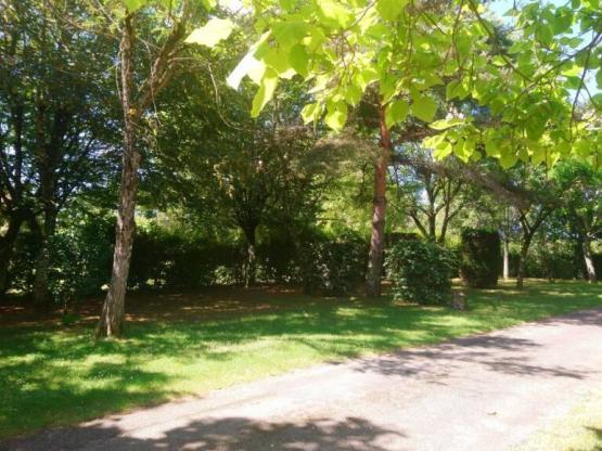 Parcela Nature (tienda, caravana, autocaravana / 1 coche)