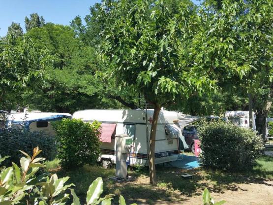 Parcela 2 personas + 1 coche o autocaravana + electricidad 10A + Wifi
