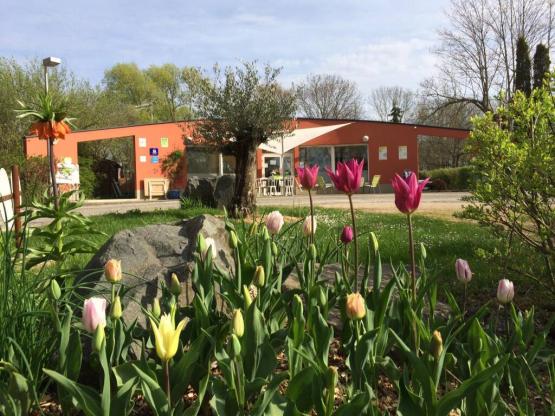 Chalet Moréa 25m² - terraza cubierta