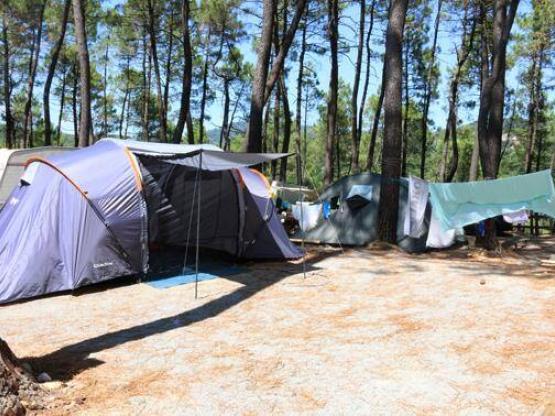Parcela en camping