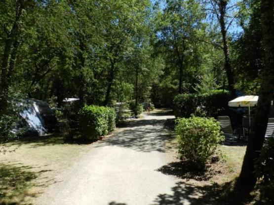 Parcela + electricidad