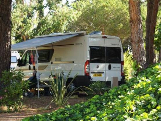 Parcela Confort (tienda, caravana, autocaravana / 1 coche / Electricidad 10A)