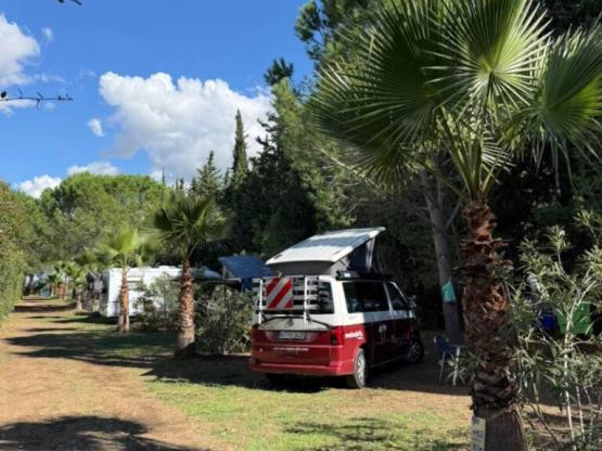 Parcela Confort (tienda, caravana, autocaravana / 1 coche / Electricidad 10A)