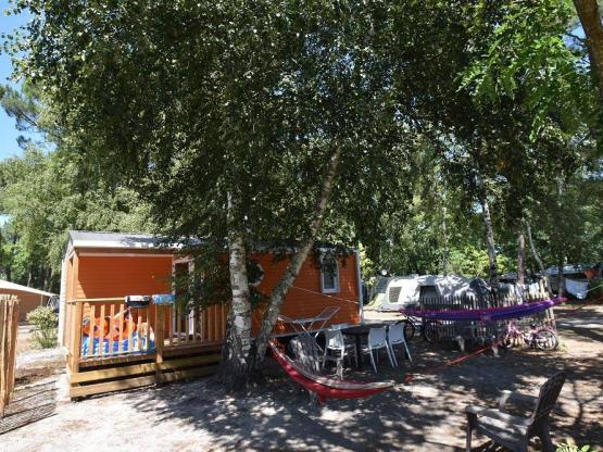 COTTAGE CONFORT 31 m² + TV