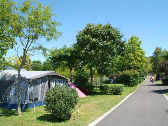 Parcela + Electricidad