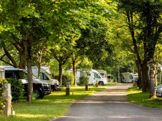 Parcela : 1 coche + tienda, caravana o autocaravana