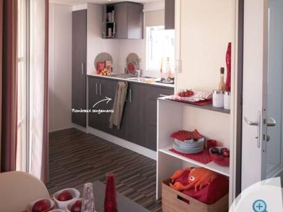 Very recent mobile home lodge Muscadelle - 2 Bedrooms TV  - Arrival Sunday