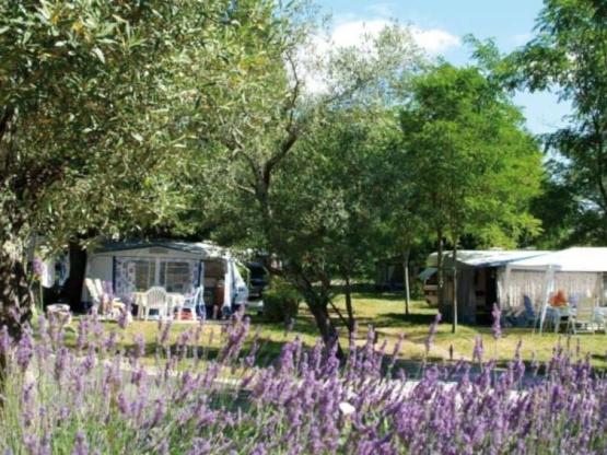 Paquete CONFORT, vehículo, parcela, electricidad 10A