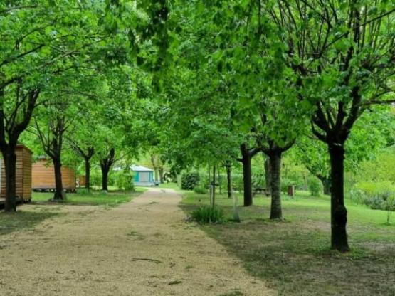 Forfait: Parcela + coche + tienda o caravana