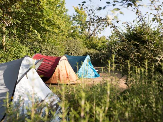 Paquete Camping con electricidad