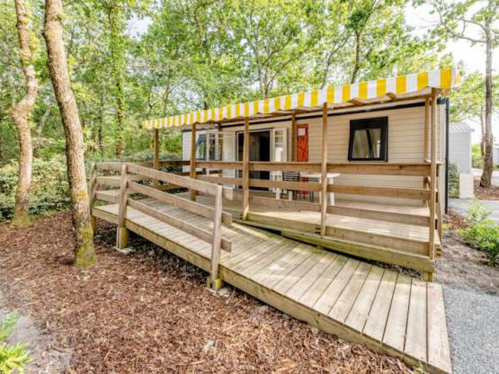 ANDARO Family - adaptado para discapacitados