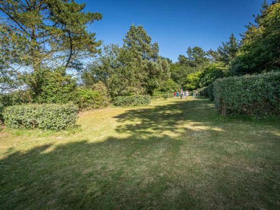 Parcela con vehículo