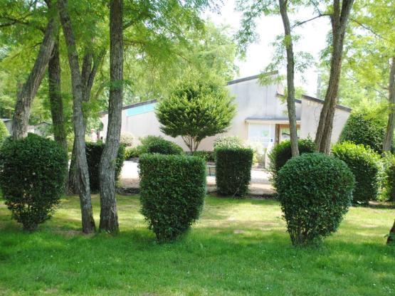 Parcela Nature (tienda, caravana, autocaravana / 1 coche)