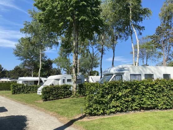 Parcela Confort (tienda, caravana, autocaravana / 1 coche / Electricidad 16A)