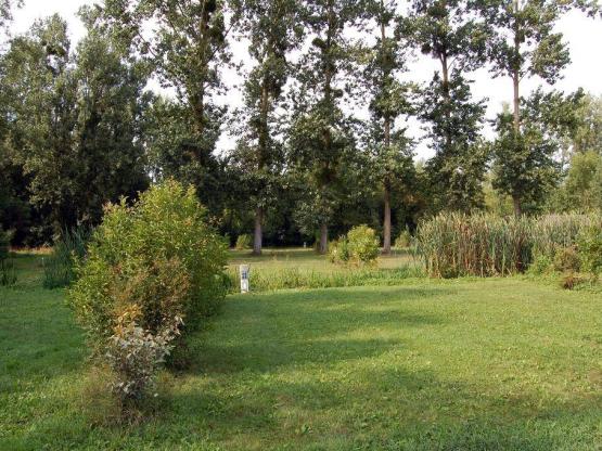 Parcela ECO - 120 m² - 2 adultos y 1 auto