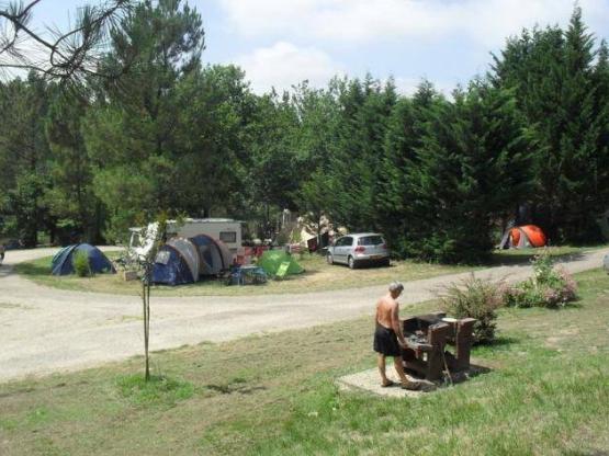 Camping pitch Nature with electricity included - 80 à 100 m² for tente or caravan only