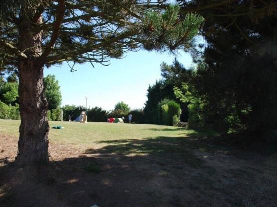 Pitch Tent + electricity + vehicle