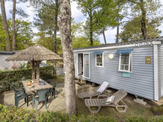 Cottage 2 habitacions **