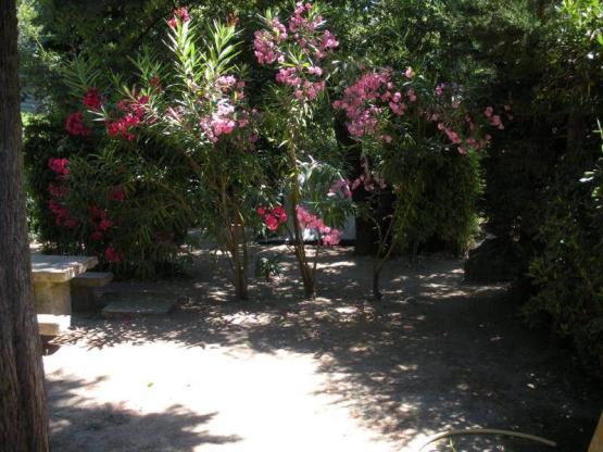 Parcela Nature (tienda, caravana, autocaravana / 1 coche)