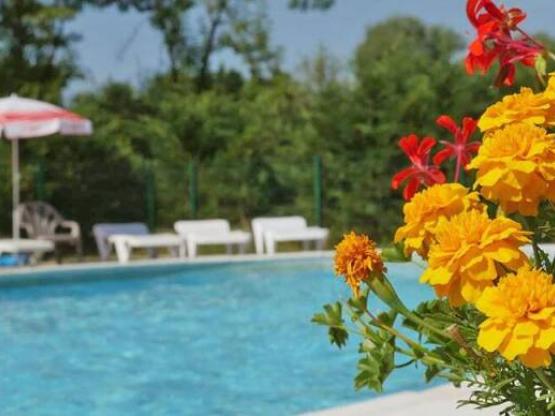 Lodge Freeflower Standard 37m² (2 habitaciones) - terraza cubierta