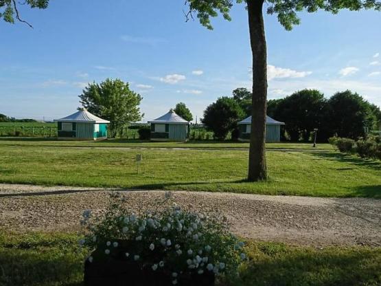 Stellplatz Zelt, Wohnwagen + Auto