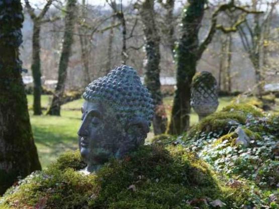 Campingplatz KOMFORT - Strom