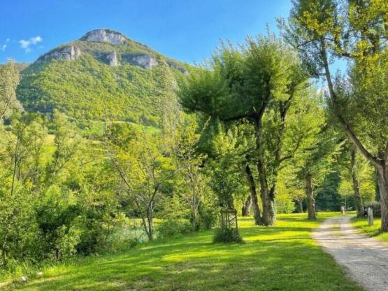 Parcela Frente al río (1 tienda, caravana, autocaravana / 1 coche)
