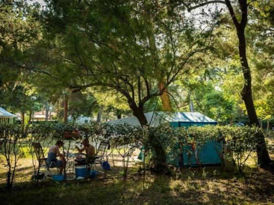 Parcela CONFORT + (> 85m²)