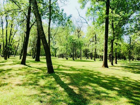 Parcela Especial excursionista andando o ciclista con tienda