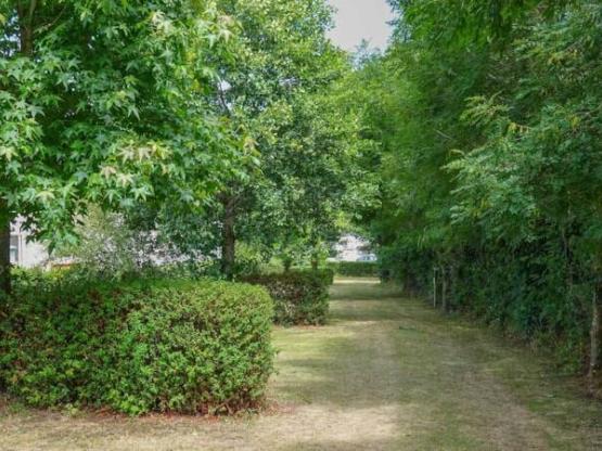 Paquete Parcela + 1 coche + electricidad