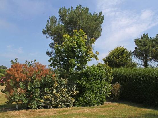 Parcela confort  + Electricidad