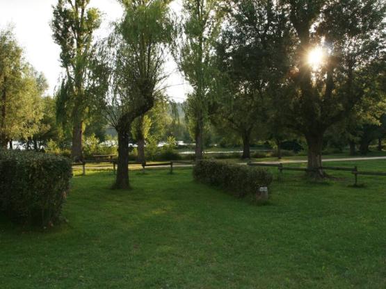 Parcela: coche + tienda o caravana + autocaravana