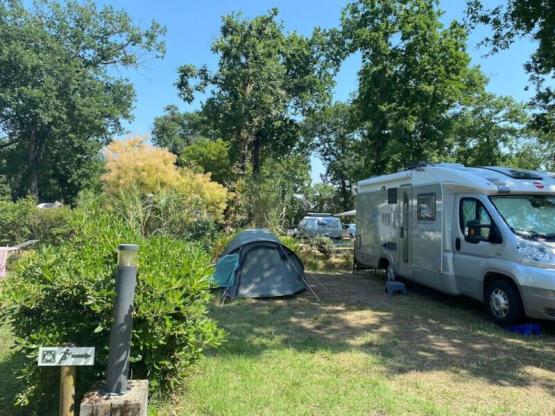 Parcela Privilège (1 tienda, caravana, autocaravana / 1 coche / Electricidad 10A) +- 150m²