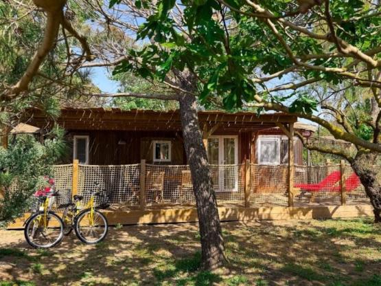 Cabane  Pêcheur 2 habitaciones PREMIUM