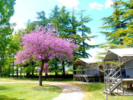 Cabaña LODGE LUXE sobre pilotes 25m² / 2 habitaciones - terraza cubierta (con sanitarios)