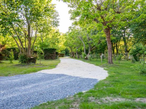 Standardstellplatz Confort 2 Cluster: Auto + Zelt/Wohnwagen oder Wohnmobil