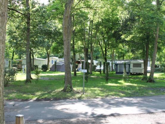 Parcela coche + tienda, caravana o autocaravana + electricidad 10 A + 2 adultos