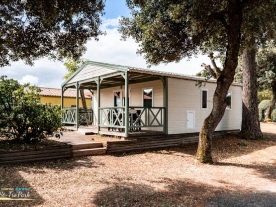 Chalet Premium 35m² (2 Zimmer) + überdachte Terrasse 12m²