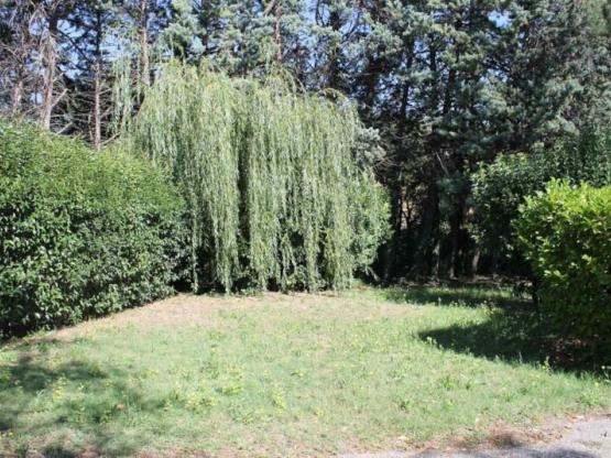 Parcela Nature SOLO (tienda, caravana, autocaravana / 1 coche)