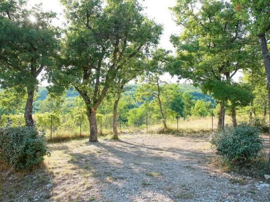 Pakket Wandelaar (1 persoon / 1 fiets / 1 tent / + electriciteit)