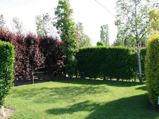 Small Pitch for small Tent