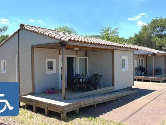 CHICANA STANDARD (Adaptado para personas con movilidad reducida )