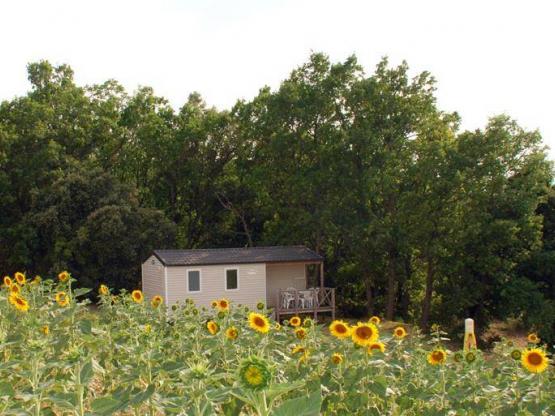 Mobilhome (2 habitaciones)